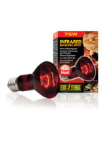 Exo Terra Infrared Basking Spot