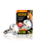 Exo Terra Intense Basking Spot