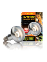 Exo Terra Intense Basking Spot