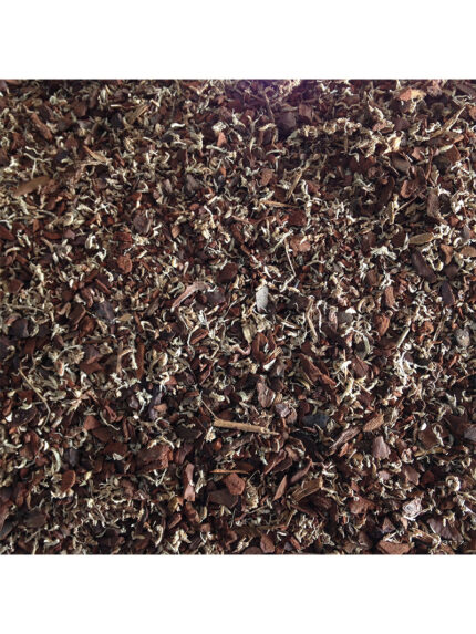 Exo Terra Rain Forest