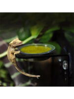 Habistat Crested Gecko Diet Banana