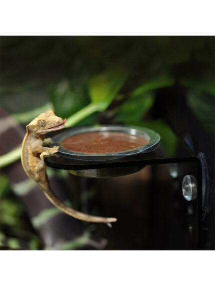 Habistat Crested Gecko Diet Strawberry