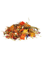 Trixie - mieszanka dla agamy brodatej