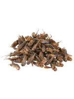 Trixie - sušené cvrčky - Obrázek 2