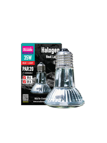Arcadia Reptile Halogen Heat Lamp