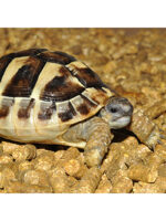 HabiStat Repti-Turf - granulat z trawy dla żółwi lądowych