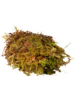 HabiStat Sphagnum Moss