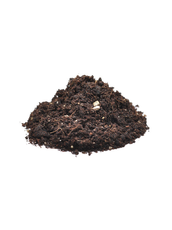 HabiStat Spider Bedding - podłoże dla pająka