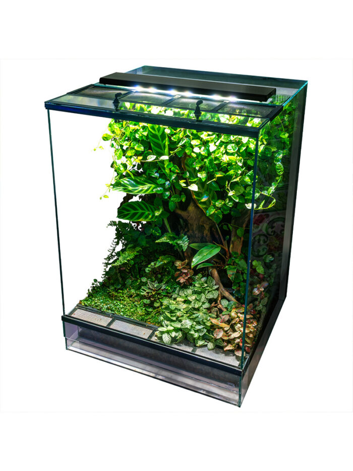 Skylight PR2.Q – OrangeFrog.store