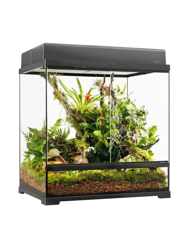 Exo-Terra-Pro-Terrarium-Medium-tall-2-orangefrog Terrarium Exo Terra Pro - Medium
