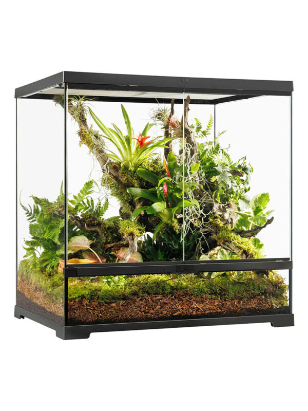 Terrarium Exo Terra Pro - Medium
