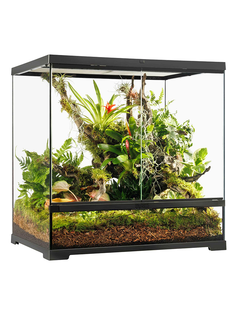 Exo-Terra-Pro-Terrarium-Medium-tall-orangefrog Terrarium Exo Terra Pro - Medium
