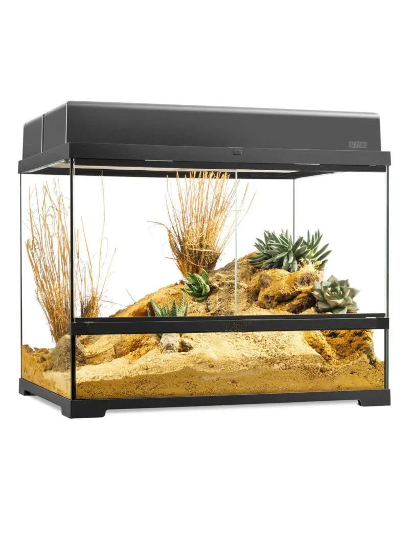 Exo-Terra-Pro-Terrarium-Medium-wide-2-orangefrog Terrarium Exo Terra Pro - Medium