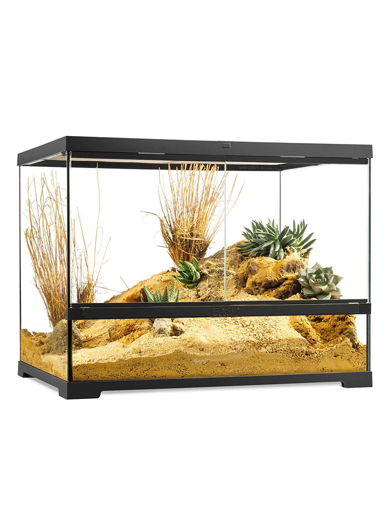 Exo-Terra-Pro-Terrarium-Medium-wide-orangefrog Terrarium Exo Terra Pro - Medium