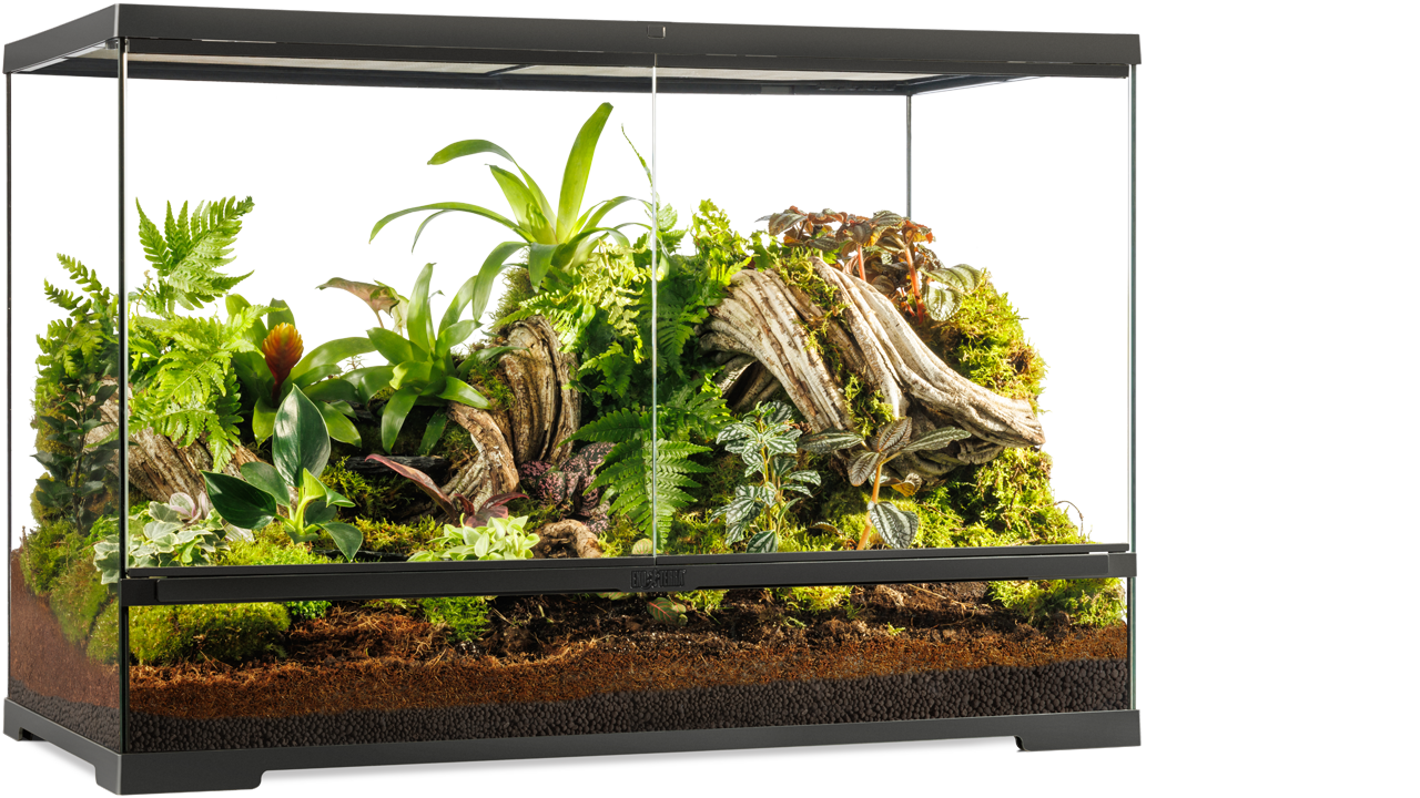 Exo Terra Pro Terrarium - X-Small