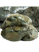 Kamienie do terrarium / akwarium – Coast Stone