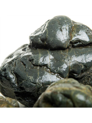 Kamienie do terrarium / akwarium – Coast Stone