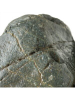 Kamienie do terrarium / akwarium – Coast Stone