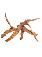 Akvaario- / terraariopuu – Cradle Wood - 40-50 cm - 1 kg - Image 7