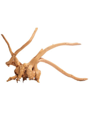 Korzeń do terrarium / akwarium Cradle Wood - 40-50 cm - 1 kg
