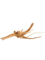 Korzeń do terrarium / akwarium Cradle Wood - 10-30 cm - 1 kg