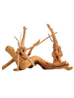Korzeń do terrarium / akwarium Cradle Wood - 10-30 cm - 1 kg