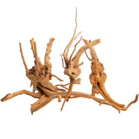 Korzeń do terrarium / akwarium Cradle Wood - 10-30 cm - 1 kg
