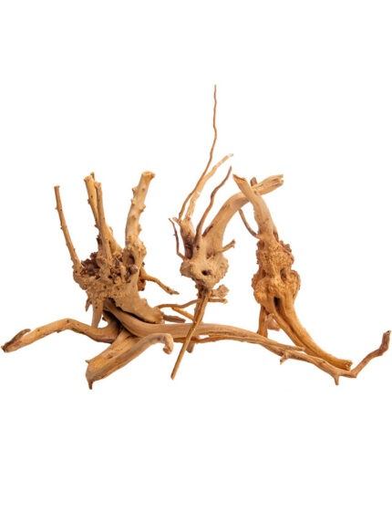 Korzeń do terrarium / akwarium Cradle Wood - 10-30 cm - 1 kg