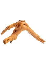 Korzeń do terrarium / akwarium Cradle Wood - 10-30 cm - 1 kg