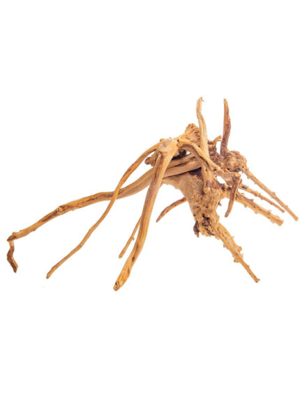 Korzeń do terrarium / akwarium Cradle Wood - 10-30 cm - 1 kg