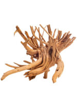 Korzeń do terrarium / akwarium Cradle Wood - 40-50 cm - 1 kg