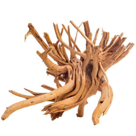 Korzeń do terrarium / akwarium Cradle Wood - 40-50 cm - 1 kg