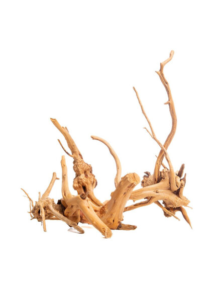 Korzeń do terrarium / akwarium Cradle Wood - 10-30 cm - 1 kg