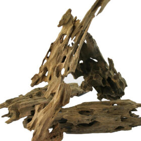 Korzeń do terrarium / akwarium – Dragon Wood - 1 kg