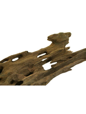 Korzeń do terrarium / akwarium – Dragon Wood - 1 kg