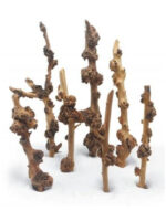 Korzeń do terrarium / akwarium – Enigma Wood