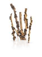 Korzeń do terrarium / akwarium – Enigma Wood