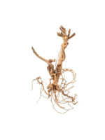 Korzeń do terrarium / akwarium – Moss Tree