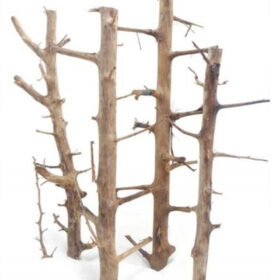 Korzeń do terrarium / akwarium – Tree Wood