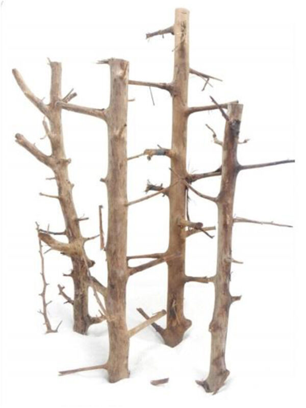 Korzeń do terrarium / akwarium – Tree Wood
