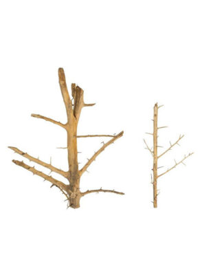 Korzeń do terrarium / akwarium – Tree Wood