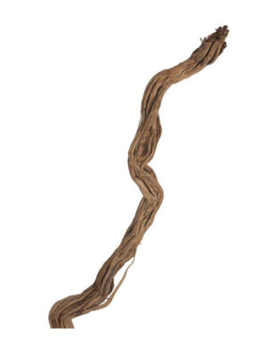 Korzeń do terrarium / akwarium – Fine Wood Wave - 1 kg