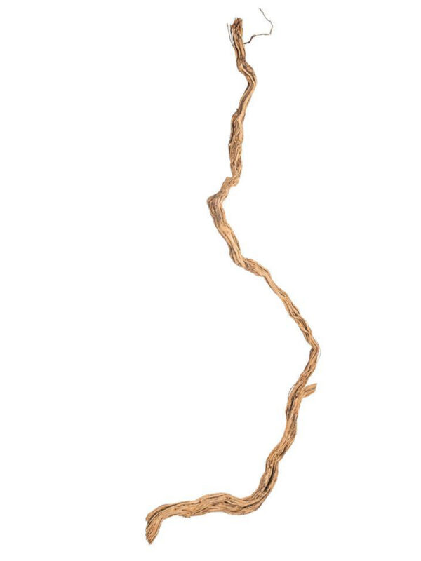 Korzeń do terrarium / akwarium – Fine Wood Wave - 1 kg