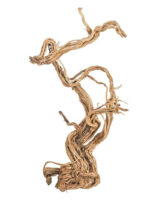 Korzeń do terrarium / akwarium – Fine Wood Wave - 1 kg