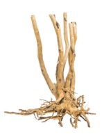 Korzeń do terrarium / akwarium – Fine Wood Stump