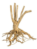 Korzeń do terrarium / akwarium – Fine Wood Stump