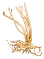 Korzeń do terrarium / akwarium – Fine Wood Stump