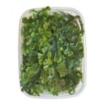 Selaginella uncinata