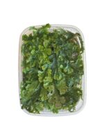 Selaginella uncinata